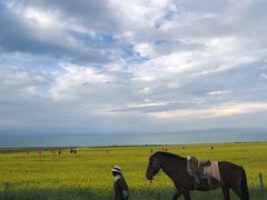 -青海湖国家重点风景名胜区