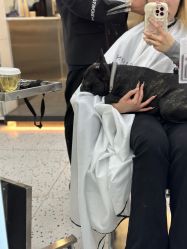 -FINE HAIR造型沙龙