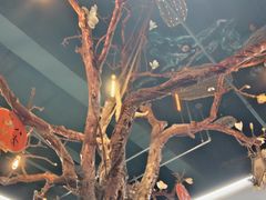 -梧桐树下(云锦世家店)