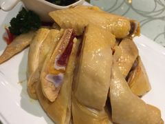 崇明散养白斩鸡-高老庄绿色传奇(昊元生活广场店)