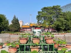 -莲花池公园