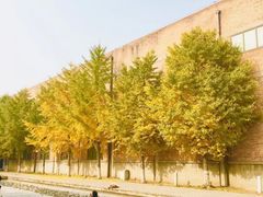 -中国艺术研究院油画院