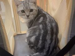 -美联众合动物医院·24h京西诊疗中心
