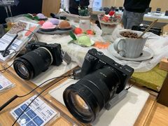 -Sony Store索尼(广州正佳店)