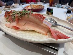 -香港龙凤楼(巨鹿路洋房店)