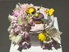 -小苍兰风铃草蛋糕甜品(沈阳店)