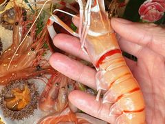 -Mr.Fish鱼鲜生海鲜放题(高德置地冬广场店)