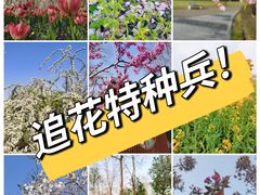 -上海辰山植物园
