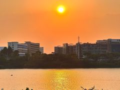 -立新湖公园