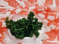 -蒙都43°9羊火锅·赤峰美食(宁城店)