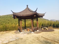 -牛首山文化旅游区