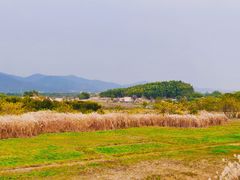 -良渚古城遗址公园