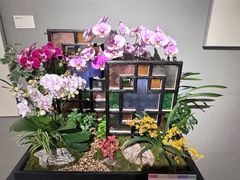 -云溪植物园
