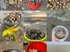 -巧克力渔家.小船海鲜家常菜(万平口店)