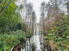 -广州市白云山风景名胜区