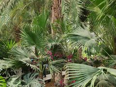 -石家庄市植物园
