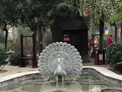 -南宫温泉水世界