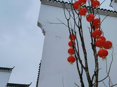 -洋湖国家湿地公园