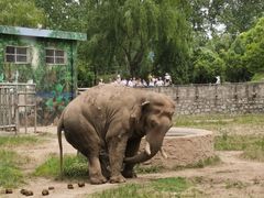 -西安秦岭野生动物园