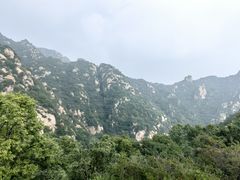 -大岭沟猕猴桃谷风景区