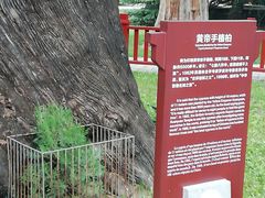 -黄帝陵