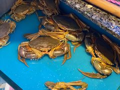 -协成海鲜火锅(海洋花园店)