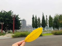 -眉山湿地公园(东坡区)