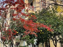 -南京中国近代史遗址博物馆(南京总统府)