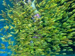 -海合安青岛极地海洋公园