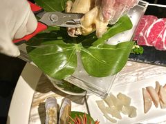-汤城·料青山