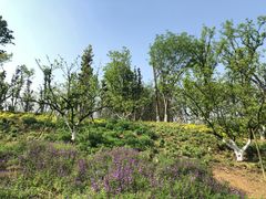 -白鹭湾湿地公园