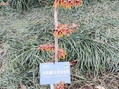 -国家植物园南园