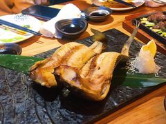 赤蝰鱼一夜干-九州酒场ひこぞう(2号店)