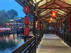 -侨美·唐荔园·40年地道粤菜