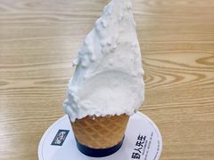 -野人先生Gelato(上海长宁龙之梦店)