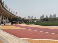 -西安浐灞国家湿地公园