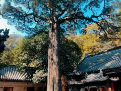 -青岛崂山太清宫