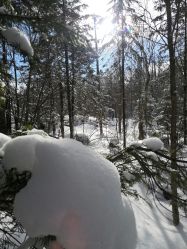 -大秃顶子山