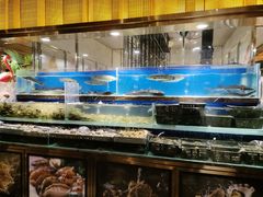 -喜庭海鲜自助(来福士店)