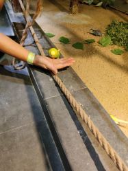 -酷嗒动物文化乐园(cutezoo西溪乐天城店)