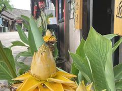 -五凤溪古镇