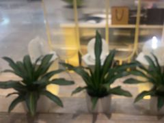 -海粤阁·精致粤菜·宴会厅(宝安店)