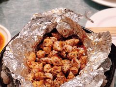 花螺-老伙记海鲜码头(北滘店)