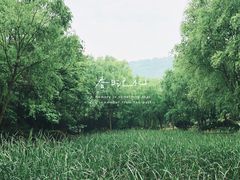 -宝界山林公园