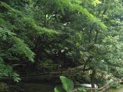 -灵光寺