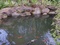 -西双版纳总佛寺