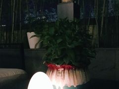 -長泰華府(长泰广场店)