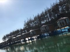 -北纬44度·金珠花海休闲农业旅游景区