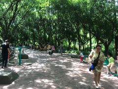 -大雁山风景区