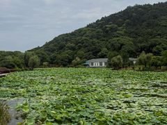 -龙寺生态园
